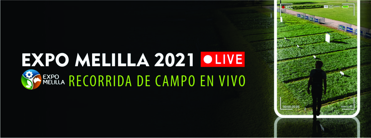 Expo Melilla 2021 LIVE